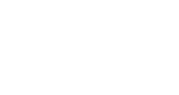 سرچین